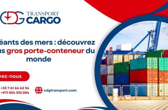 Les géants des mers : découvrez le plus gros porte-conteneur du monde