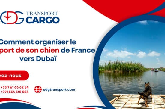 Comment organiser le transport de son chien de France vers Dubaï